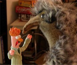 Giant emu chick not included
